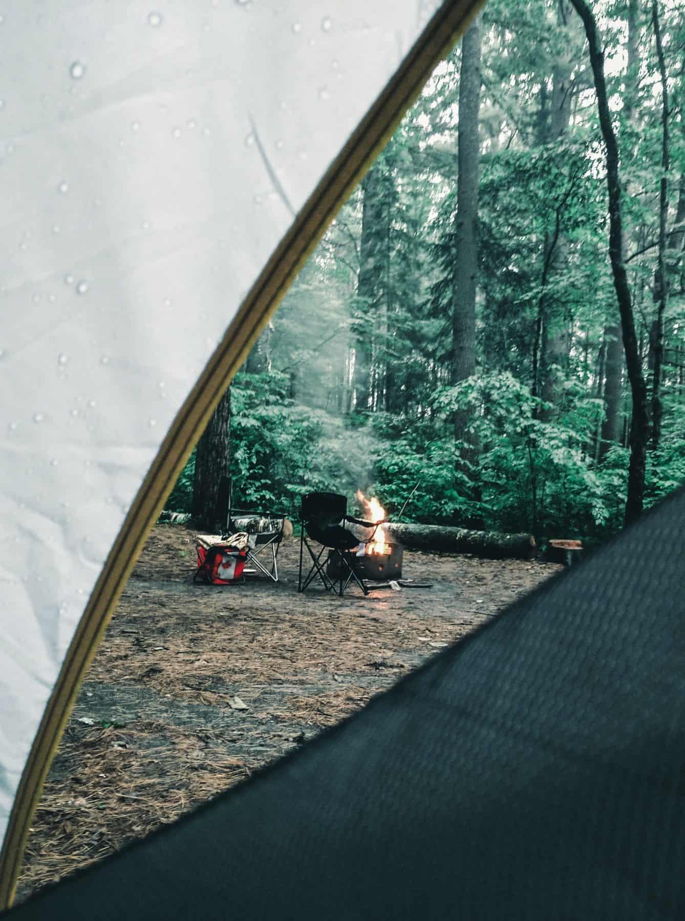 ali-kazal-3BgWY4UPb0E-unsplash