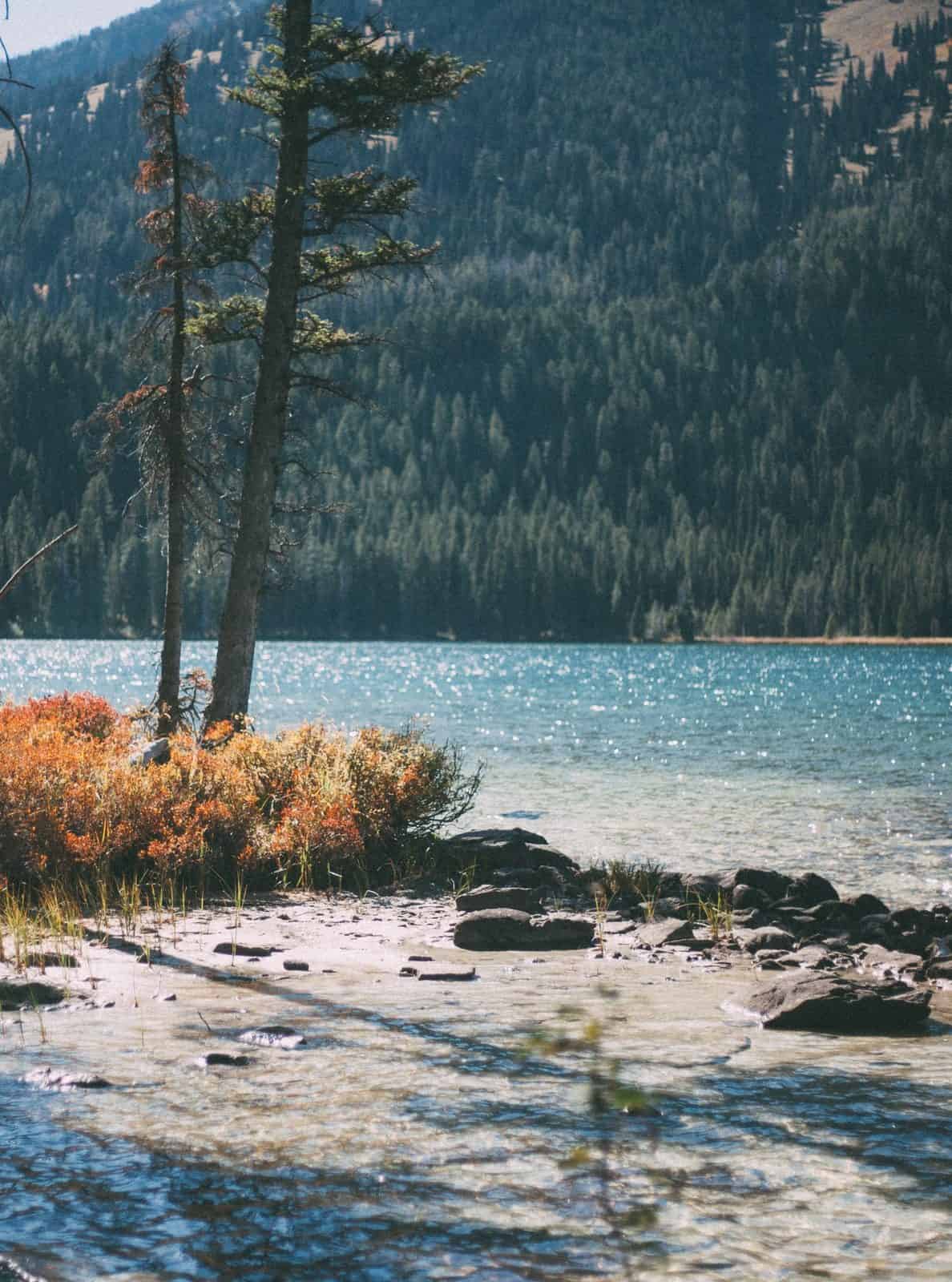 james-fitzgerald-h2Sp-CFF9Jc-unsplash